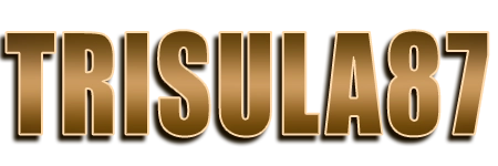 TRISULA87 Logo